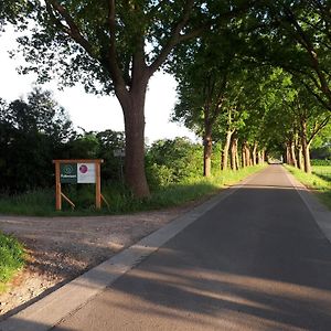 Vakantiehuisje In Drenthe Elim Exterior photo